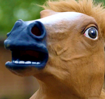 File:Horse.png